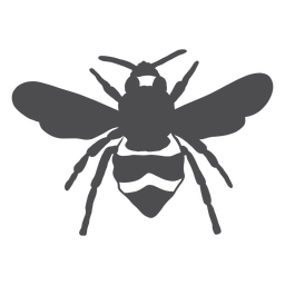 Silhueta de listras de vespa asa de abelha Desenho PNG