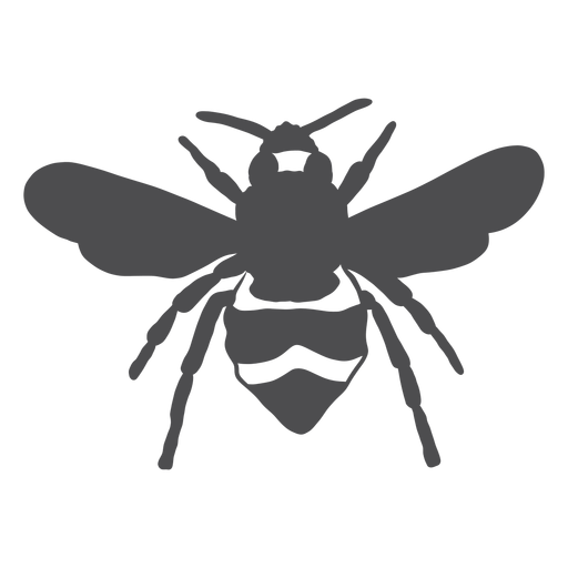 Silhueta de listras de vespa asa de abelha Desenho PNG