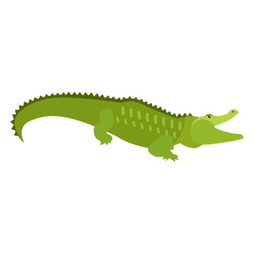 Cauda de crocodilo de crocodilo plana Desenho PNG