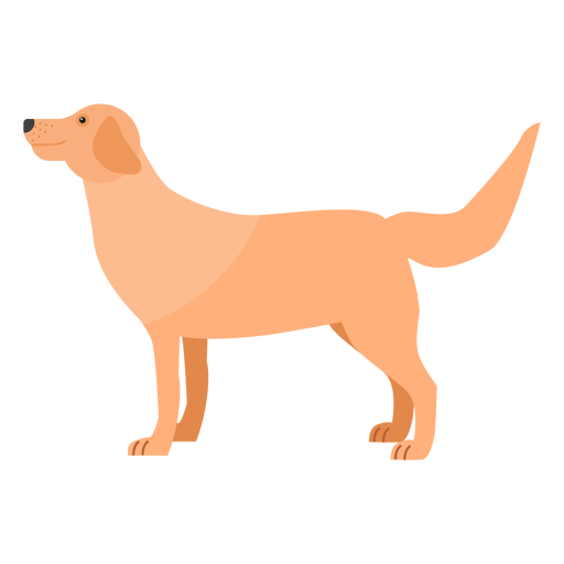Oreja de cola de perro cachorro plana Diseño PNG