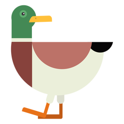 Drake pato cola pato salvaje pico plano redondeado geométrico Diseño PNG