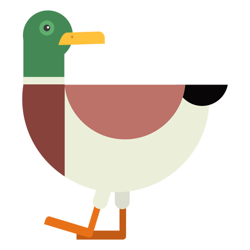 Drake duck tail wild duck beak flat rounded geometric