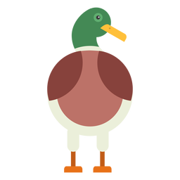 Bico de pato selvagem de pato Drake arredondado geométrico Desenho PNG