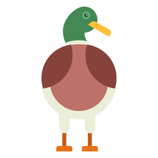 Drake duck wild duck beak flat rounded geometric PNG Design