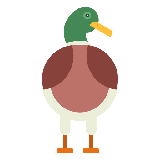 Drake pato pato salvaje pico plano redondeado geométrico Diseño PNG