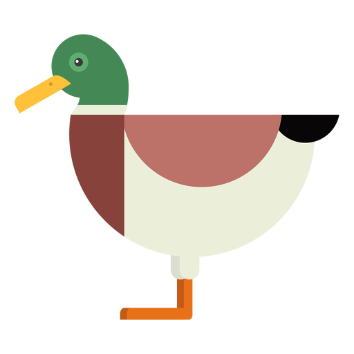 Drake duck wild duck tail beak flat rounded geometric PNG Design