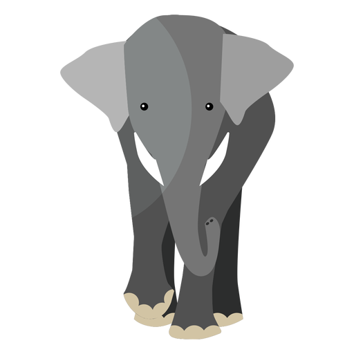 Oreja de elefante de marfil de tronco plano Diseño PNG