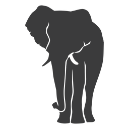 Silhueta de tronco de marfim de orelha de elefante Transparent PNG