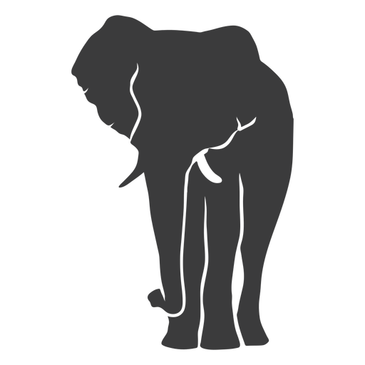Oreja de elefante marfil tronco silueta Diseño PNG