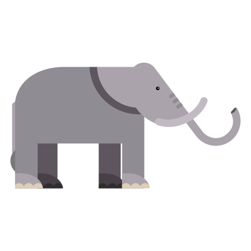 Oreja de elefante marfil tronco cola plana redondeada geométrica Diseño PNG
