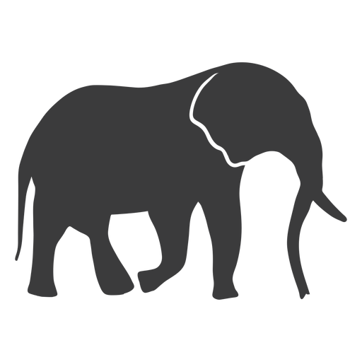 Download Elephant ear ivory trunk tail silhouette - Transparent PNG ...