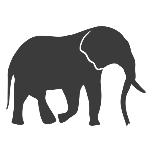 Elephant ear ivory trunk tail silhouette PNG Design