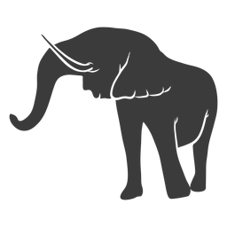 Elephant ear trunk silhouette Transparent PNG