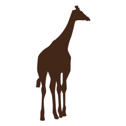 Jirafa cuello alto largo osicones silueta animal Diseño PNG