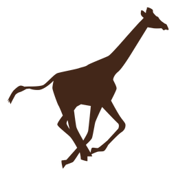 Giraffe run tall neck long ossicones silhouette PNG Design