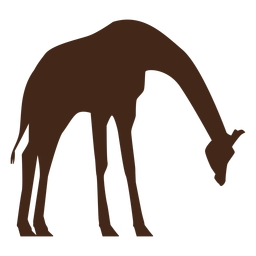 Silhueta de ossicones de pescoço alto de girafa Desenho PNG