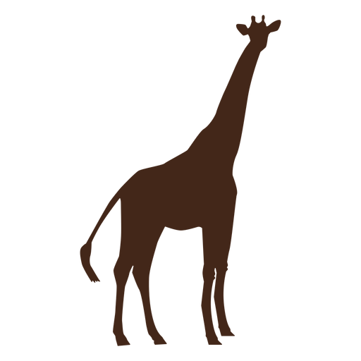 Silueta de cola de osicones largos de cuello alto de jirafa