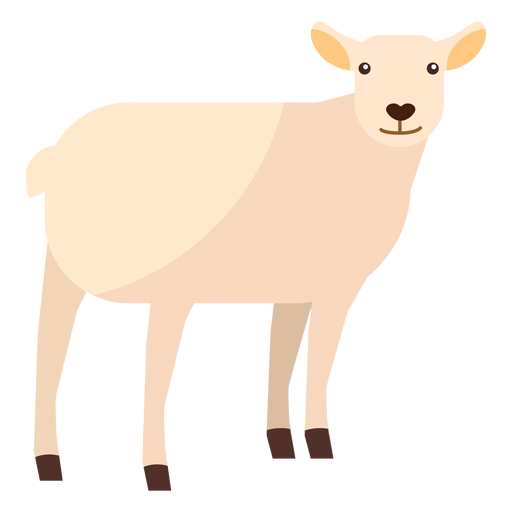 Lamb sheep wool hoof flat PNG Design
