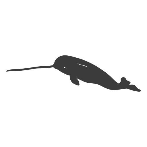Narwhal tusk flipper tail silhouette PNG Design