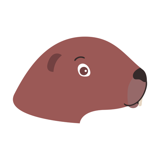 Otter head muzzle flat sticker Transparent PNG Otter head muzzle flat sticker Transparent PNG