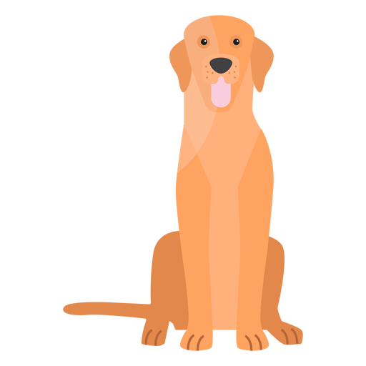 Cachorro com cauda de cachorro achatada Desenho PNG
