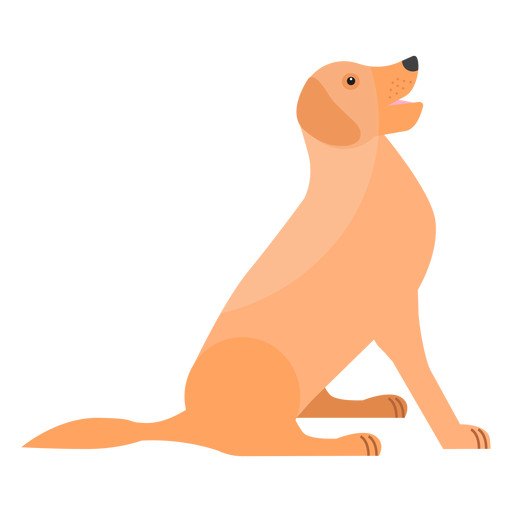 Cachorro perro lengua cola oreja plana Diseño PNG