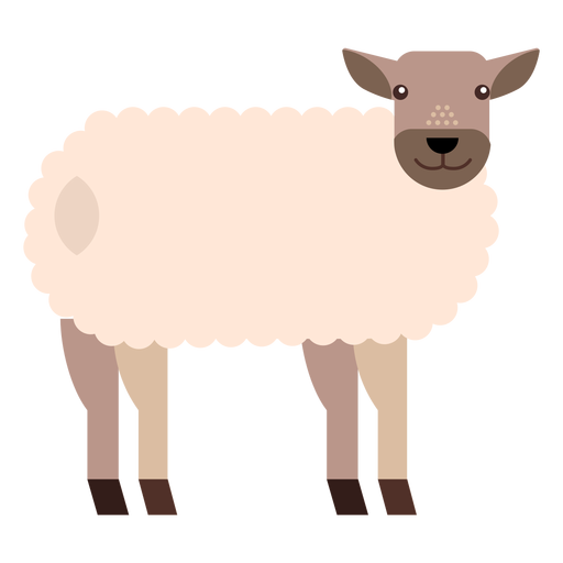 Sheep lamb wool hoof tail flat rounded geometric Transparent PNG Sheep lamb wool hoof tail flat rounded geometric Transparent PNG