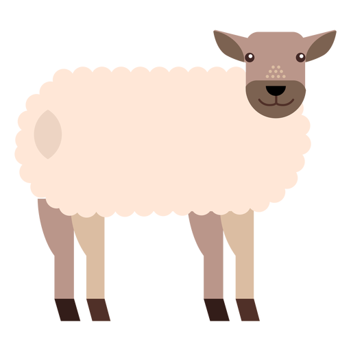 Sheep lamb wool hoof tail flat rounded geometric PNG Design
