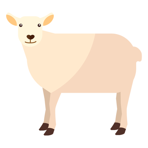L? de ovelha com casco plano Desenho PNG