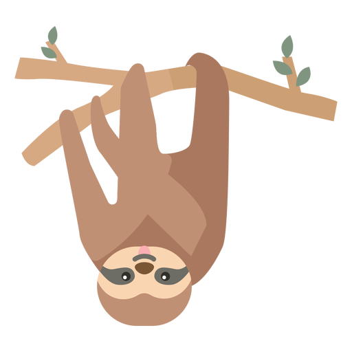 Sloth branch tree leaf flat PNG Design