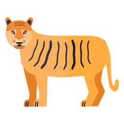 Tiger stripe tail flat
