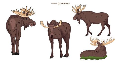 Elch farbiges Illustrationsset