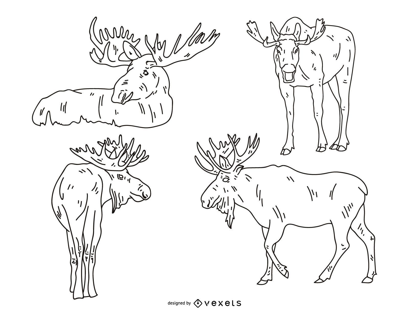 Moose Stroke Illustration Set