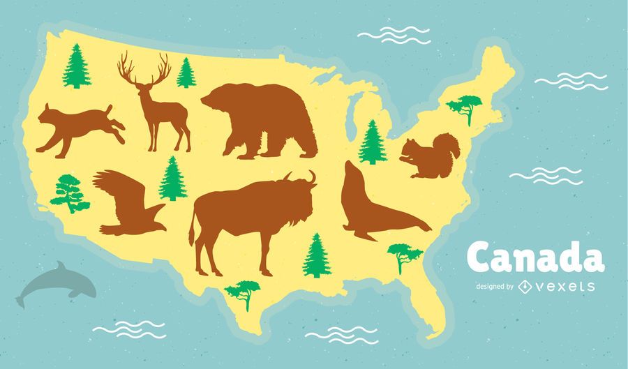 Canadian Animals Map Illustration - Vector download