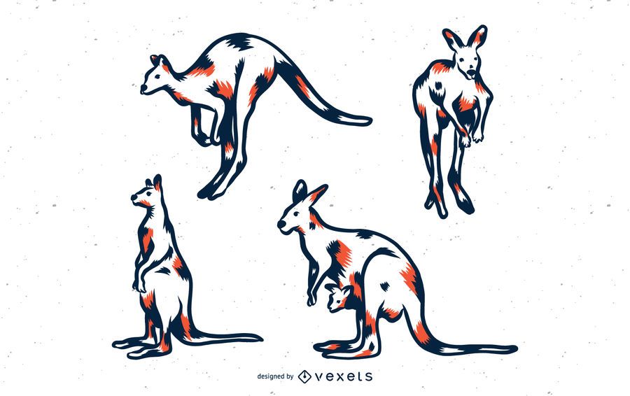 Kangaroo Duotone Illustration Set Kangaroo Duotone Illustration Set