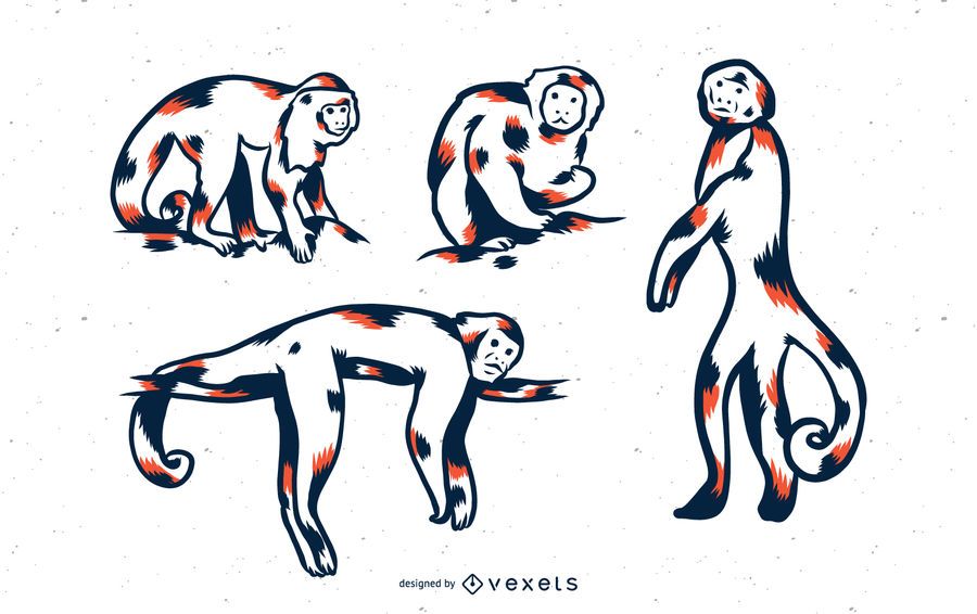 Monkey Duo Tone Set Monkey Duo Tone Set