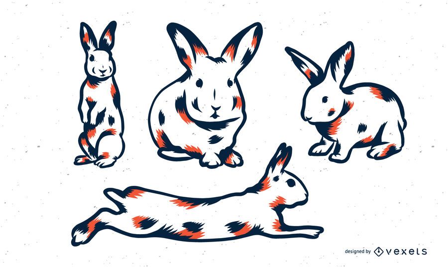 Rabbit Duo Tone Set Rabbit Duo Tone Set