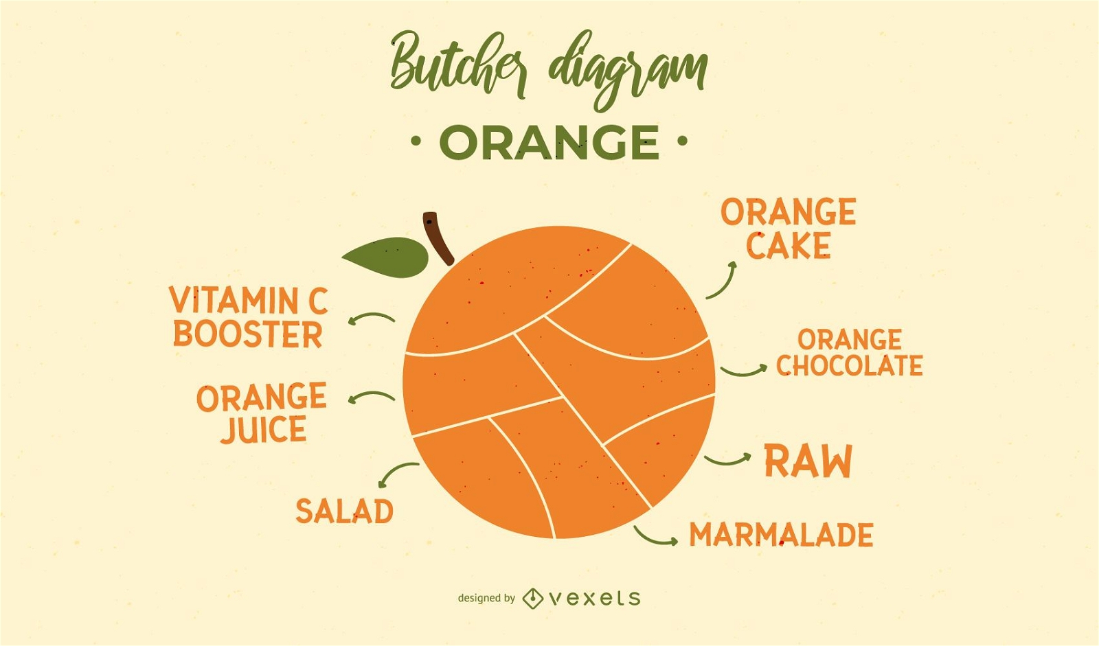 Orange Metzger Diagramm Design