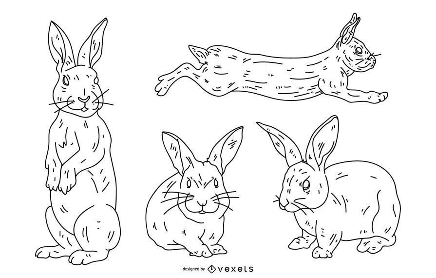 Rabbit Stroke Style Set Rabbit Stroke Style Set
