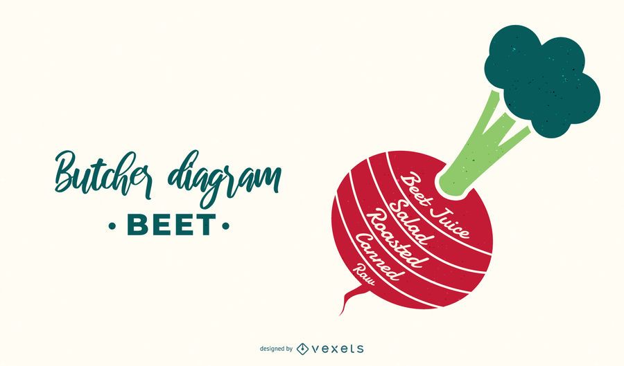 Beet Butcher Diagram Design Beet Butcher Diagram Design