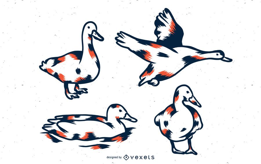 Duck Duo Tone Set Duck Duo Tone Set
