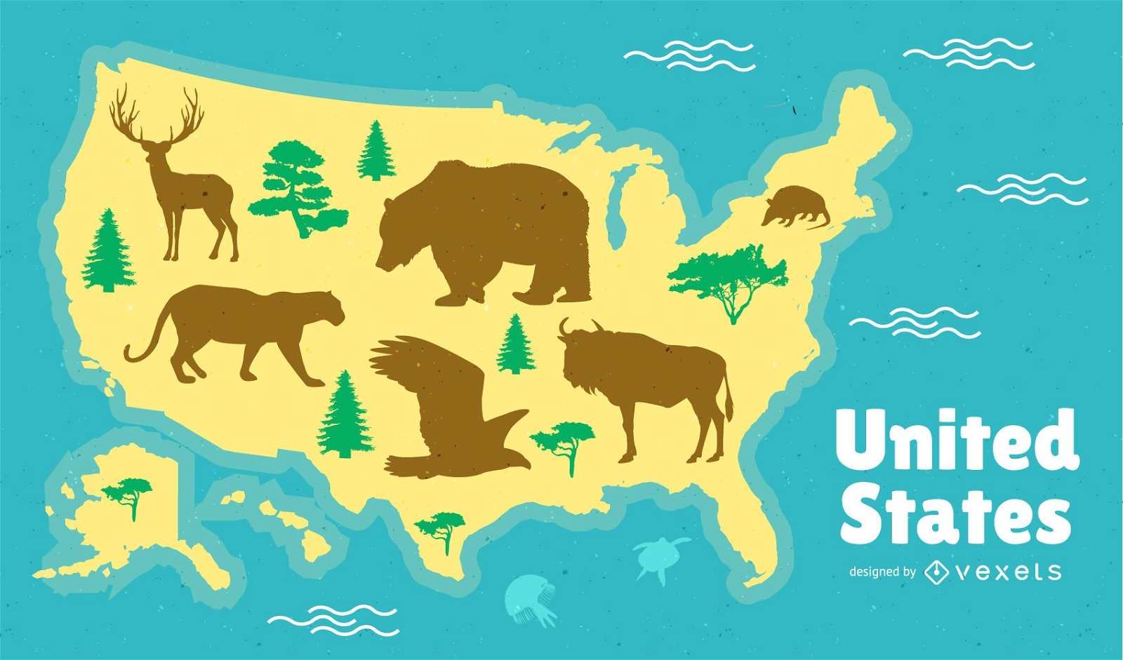 United States Map Design 