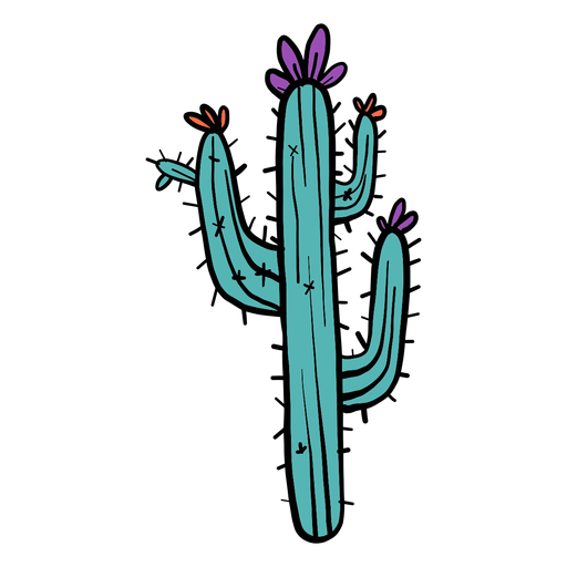 Kaktusblumendorn-Farbskizze PNG-Design