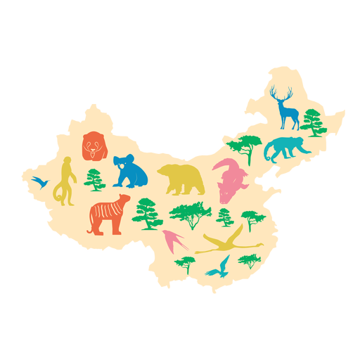 Ilustraci?n de mapa de China Diseño PNG