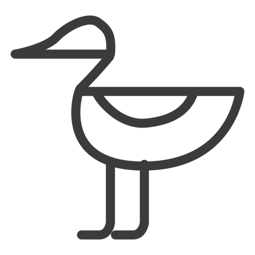 Duck drake beak bird wing stroke PNG Design