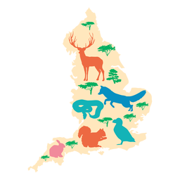 England map illustration PNG Design