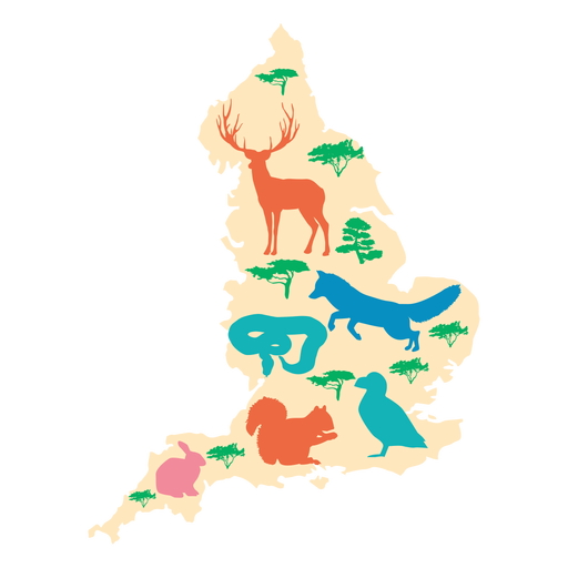 England map illustration PNG Design
