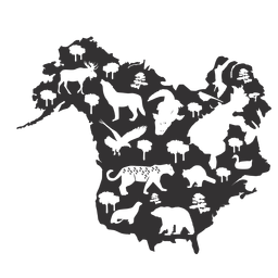 Nordamerika Schattenbildkarte PNG-Design