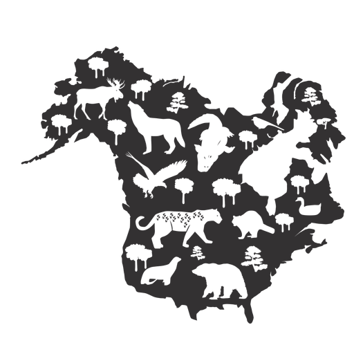 North america silhouette map
