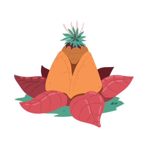 Pineapple leaf pyramid illustration